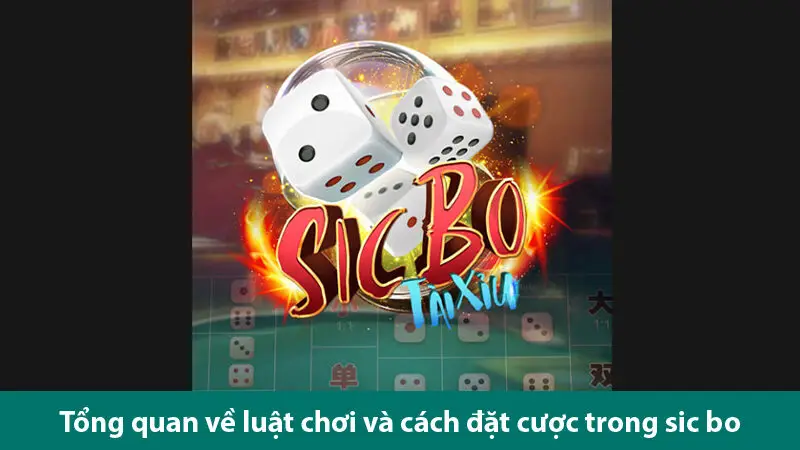 Tìm hiểu luật chơi, các loại cược và bí quyết chơi Sic bo đổi thưởng đỉnh cao